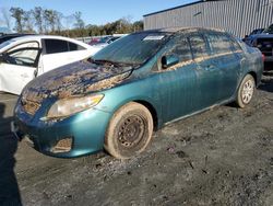 Salvage cars for sale at Spartanburg, SC auction: 2009 Toyota Corolla Base