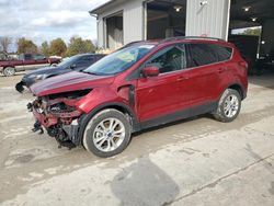 Salvage cars for sale at Columbia, MO auction: 2018 Ford Escape SE