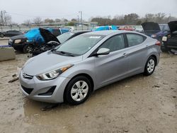 Salvage cars for sale at Louisville, KY auction: 2016 Hyundai Elantra SE