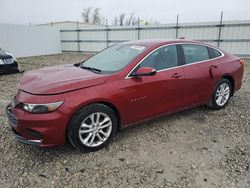 Salvage cars for sale at Appleton, WI auction: 2017 Chevrolet Malibu LT