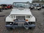 1991 Jeep Wrangler / YJ