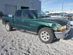 2001 Dodge Dakota Quattro