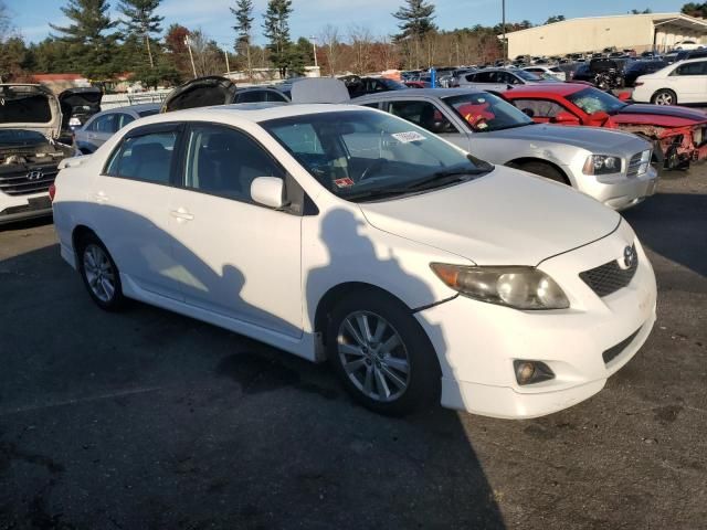 2010 Toyota Corolla Base