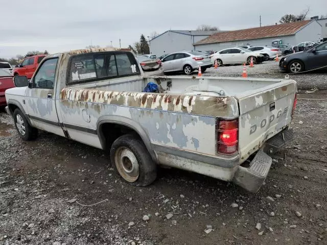 1989 Dodge Dakota