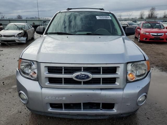 2010 Ford Escape Hybrid