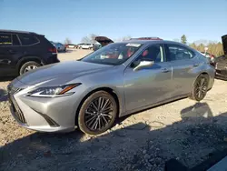 Salvage cars for sale from Copart West Warren, MA: 2023 Lexus ES 350 Base