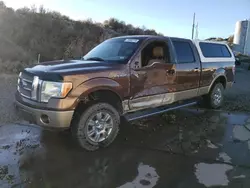 Ford Vehiculos salvage en venta: 2011 Ford F150 Supercrew