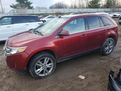 Ford Vehiculos salvage en venta: 2013 Ford Edge Limited