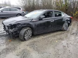 Salvage cars for sale at Arlington, WA auction: 2023 Nissan Altima SV