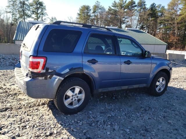 2009 Ford Escape XLT