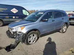 Honda Vehiculos salvage en venta: 2010 Honda CR-V EX