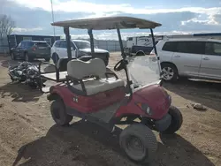 Salvage motorcycles for sale at Greenwood, NE auction: 2009 Yamaha Golf Cart