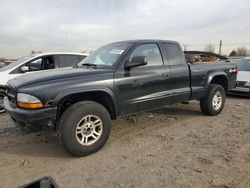 Salvage SUVs for sale at auction: 2003 Dodge Dakota Sport