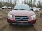 2007 Hyundai Santa FE SE