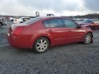 2004 Nissan Maxima SE