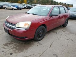 Chevrolet salvage cars for sale: 2005 Chevrolet Malibu Maxx LS