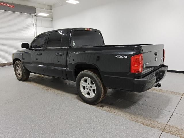 2010 Dodge Dakota SXT