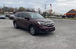 Honda salvage cars for sale: 2019 Honda Pilot EXL