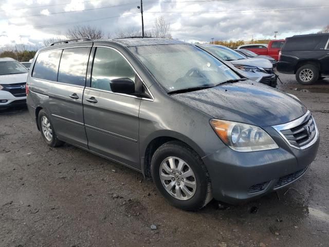 2008 Honda Odyssey EXL