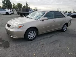 Carros salvage a la venta en subasta: 2004 Toyota Camry LE