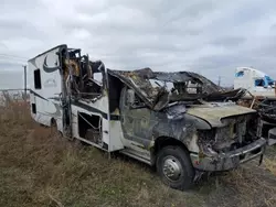 Salvage trucks for sale at Montreal Est, QC auction: 2010 Ford Econoline E350 Super Duty Cutaway Van