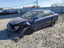 Toyota Vehiculos salvage en venta: 2005 Toyota Corolla CE