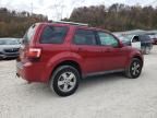 2009 Ford Escape Limited