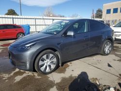 2023 Tesla Model Y en venta en Littleton, CO