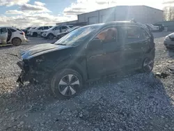 Salvage cars for sale at Wayland, MI auction: 2018 KIA Niro FE