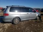 2008 Honda Odyssey EXL