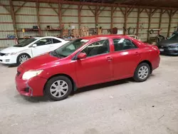 2010 Toyota Corolla Base en venta en London, ON