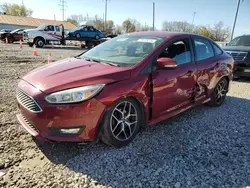 Salvage cars for sale at Columbus, OH auction: 2015 Ford Focus SE