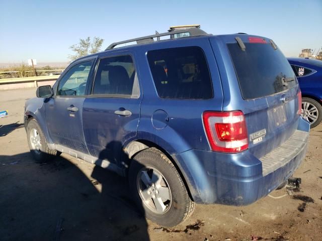 2009 Ford Escape XLT