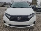 2023 Honda Odyssey SPORT-L