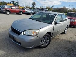 Salvage cars for sale at Bridgeton, MO auction: 2006 Chevrolet Malibu LT