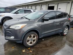 Salvage cars for sale at Louisville, KY auction: 2015 Ford Escape SE