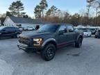 2017 Ford F150 Raptor