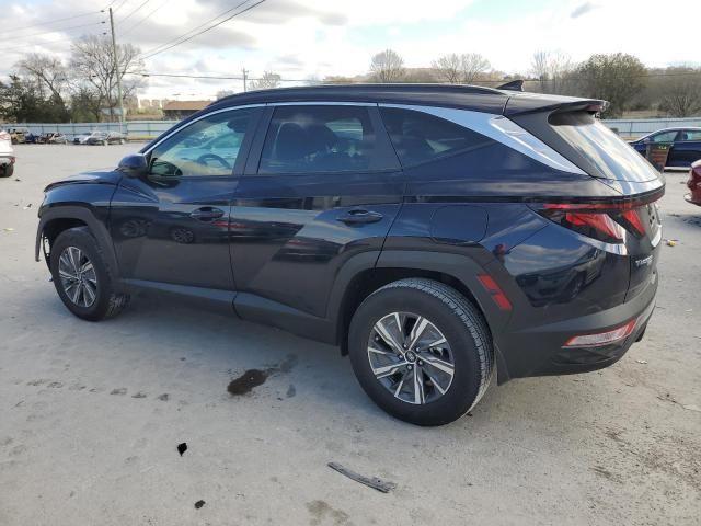 2024 Hyundai Tucson Blue