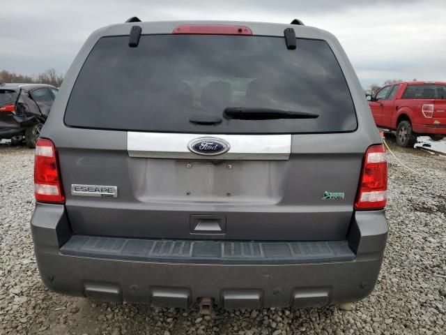 2011 Ford Escape Limited