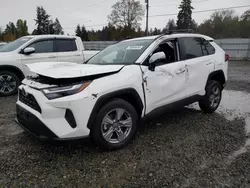 Toyota salvage cars for sale: 2024 Toyota Rav4 XLE