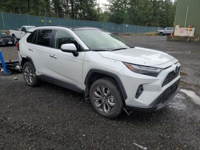 2024 Toyota Rav4 Limited