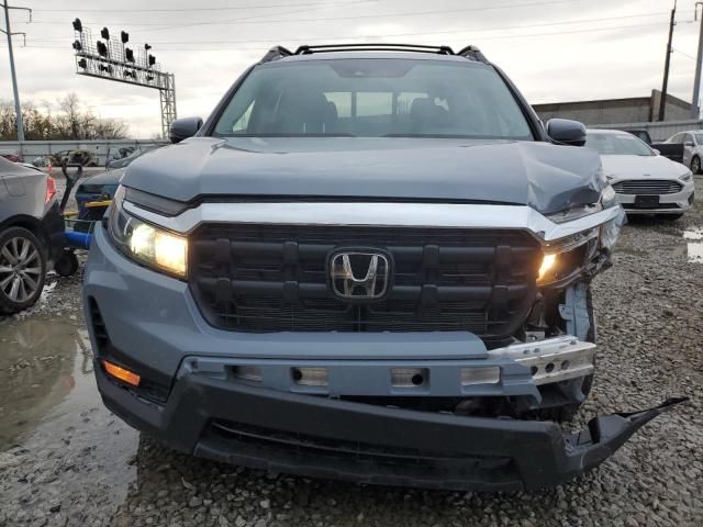 2025 Honda Ridgeline RTL