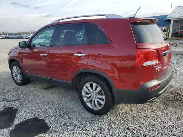 2011 KIA Sorento EX