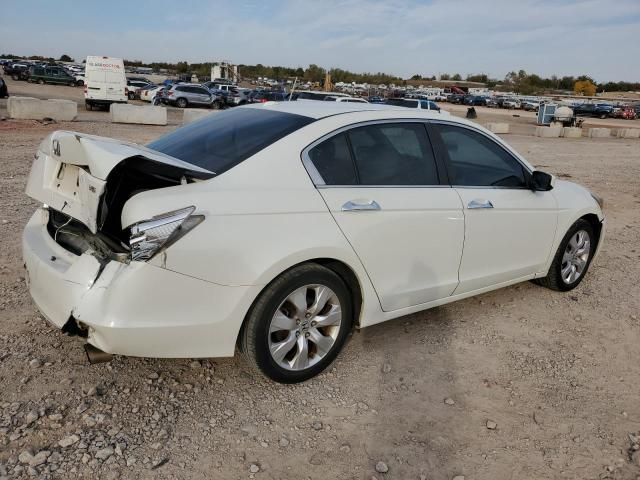 2009 Honda Accord EXL