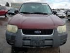 2003 Ford Escape XLT