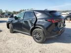 2024 Lexus NX 250 Base