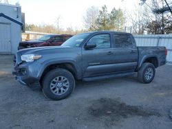 Salvage cars for sale at Lyman, ME auction: 2019 Toyota Tacoma Double Cab