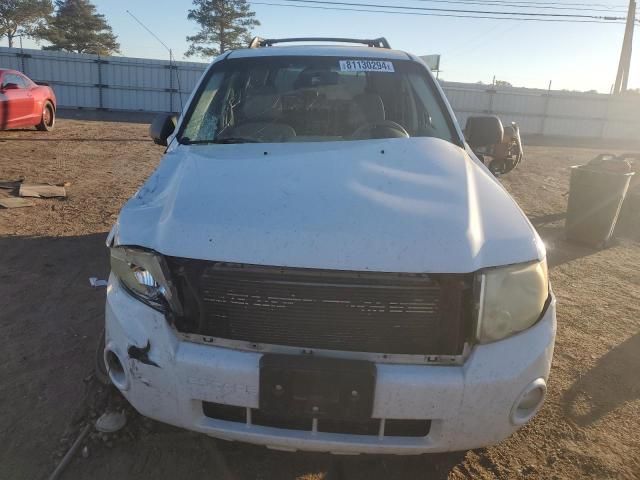 2008 Ford Escape XLT