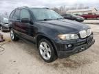 2006 BMW X5 4.4I