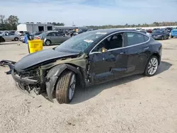 Salvage cars for sale at Harleyville, SC auction: 2019 Tesla Model 3